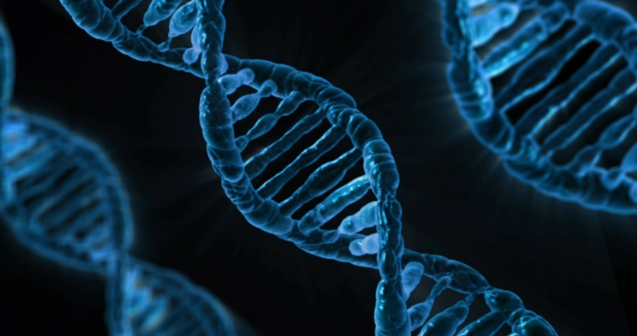 Encyclopédie environnement - génome - genome