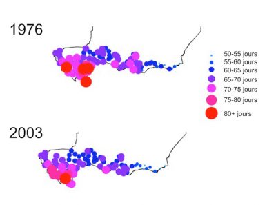 flowering millet biodiversity southern country